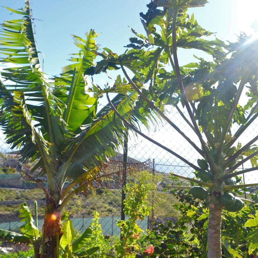 La Casa Del Barranco Βίλα Fasnia Εξωτερικό φωτογραφία